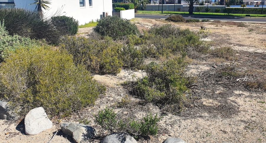 0 Bedroom Property for Sale in Shelley Point Western Cape